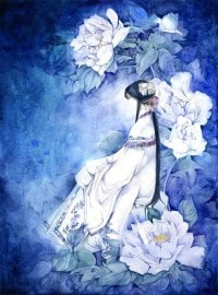 神奇的相机